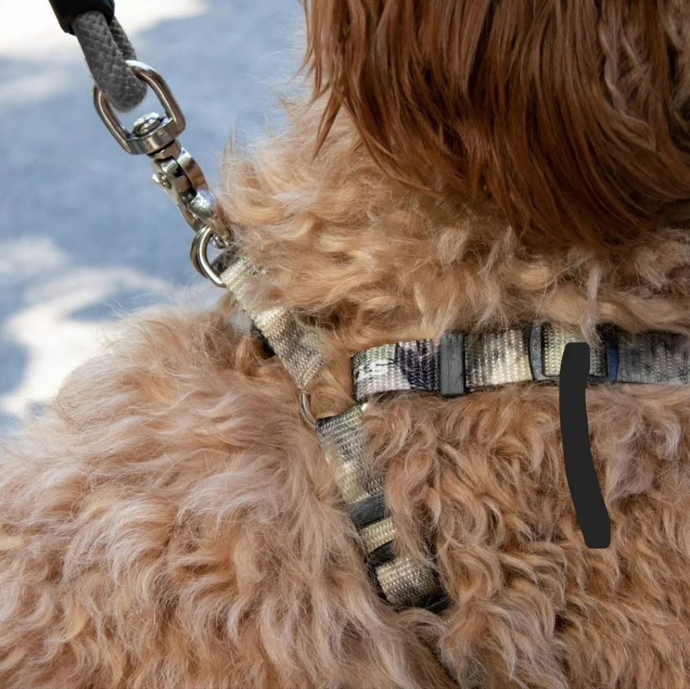 NWT Vibrant Life Polyester Strategy Graph X Camo Step-in Dog Harness